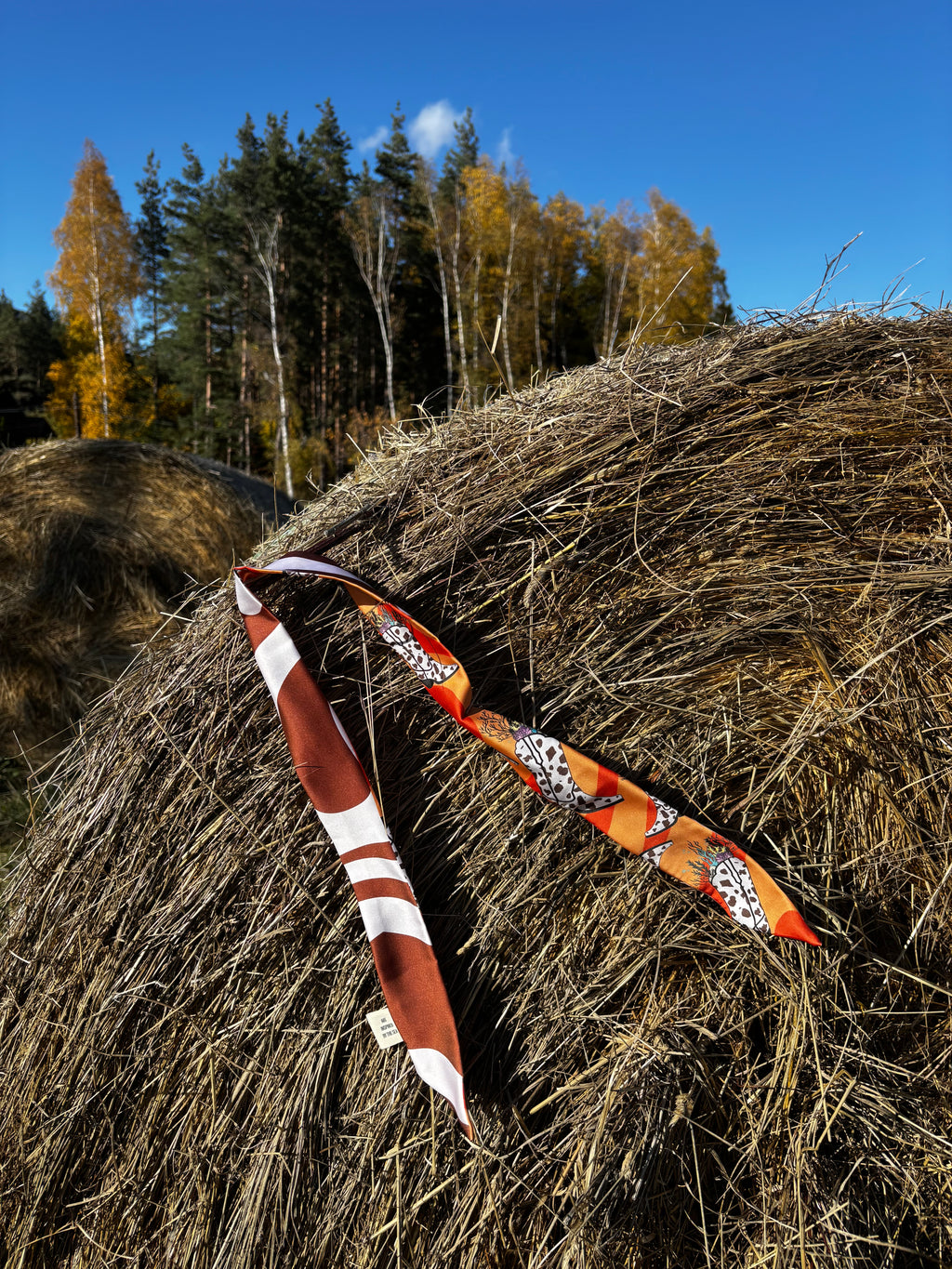 Сатенено фишу “The Diver’s Boots”