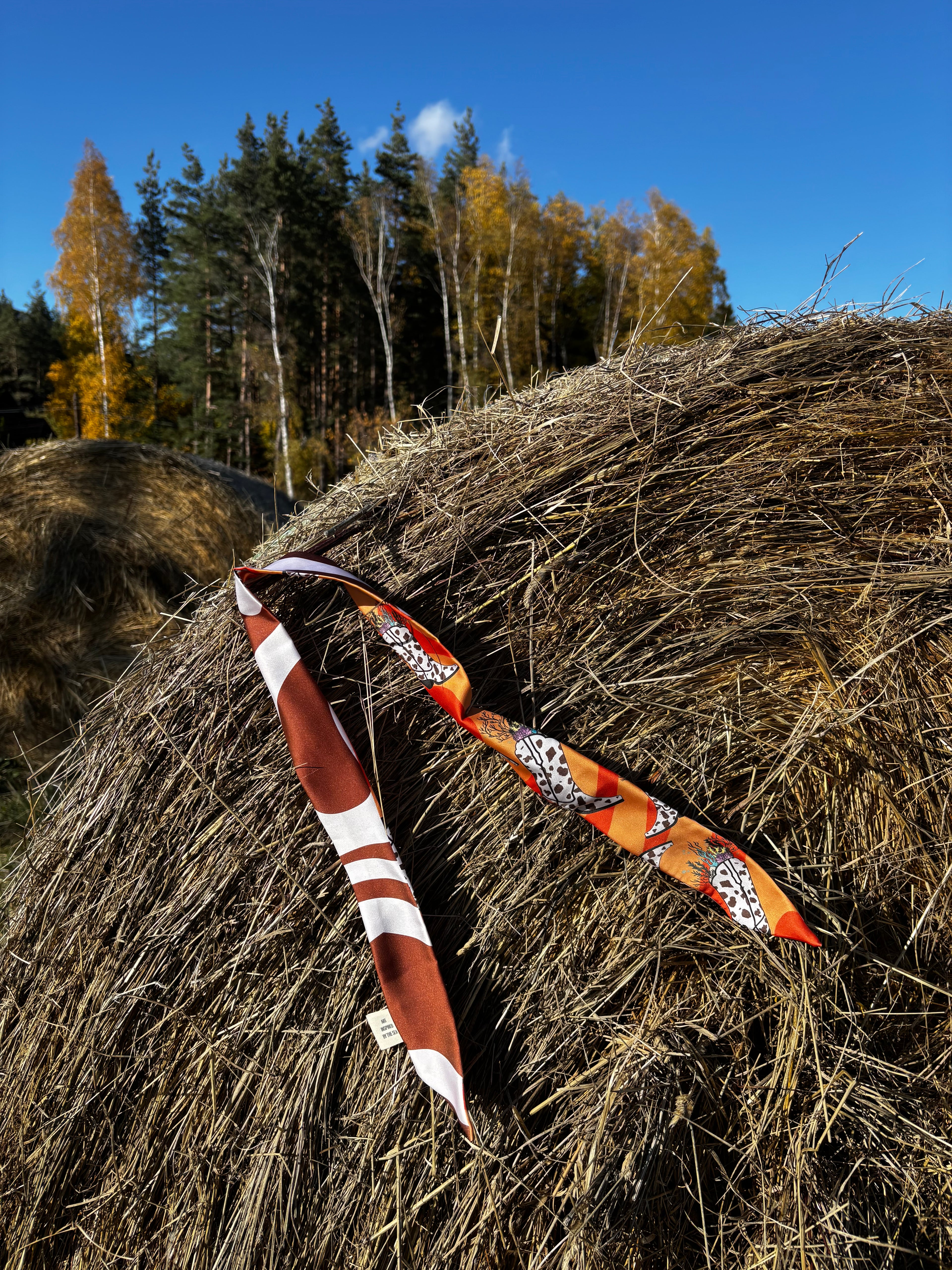 Сатенено фишу “The Diver’s Boots”